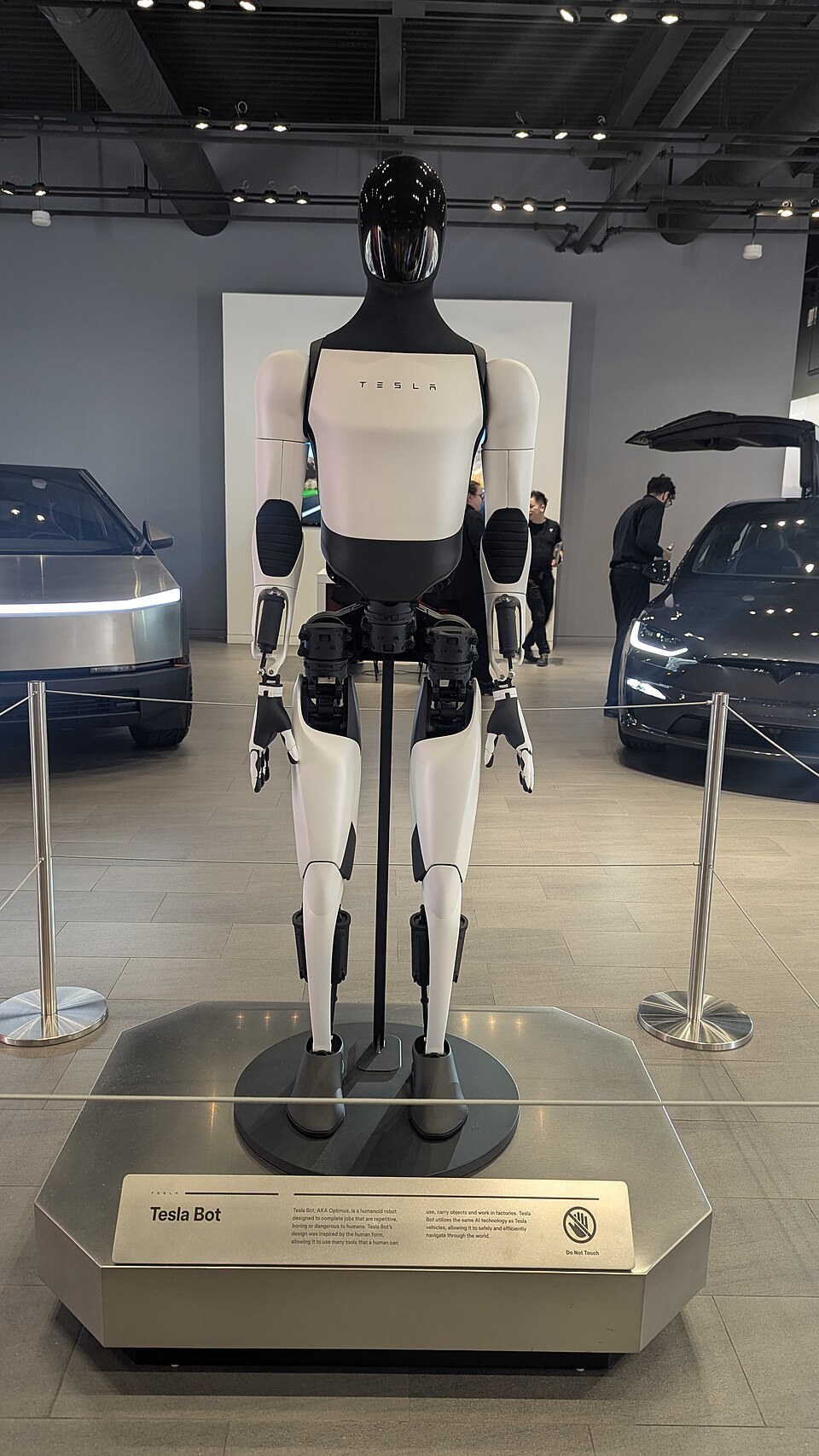 Tesla Optimus Generation 2 humanoid robot on display in a Tesla showroom