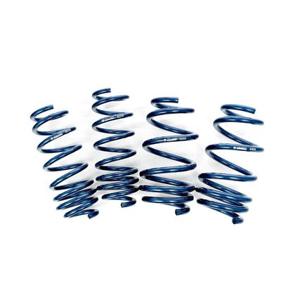 Tesla Model Y Dual Rate Linear Lowering Spring Set